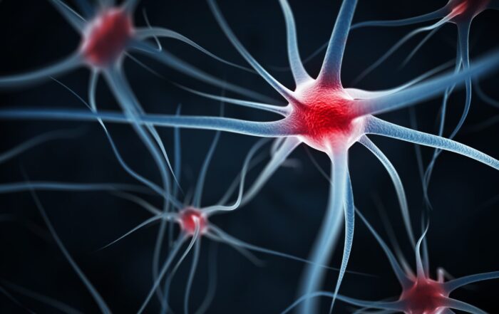 Rewiring Comfort: Proven Approaches to Neuropathy Relief and Nerve Wellness