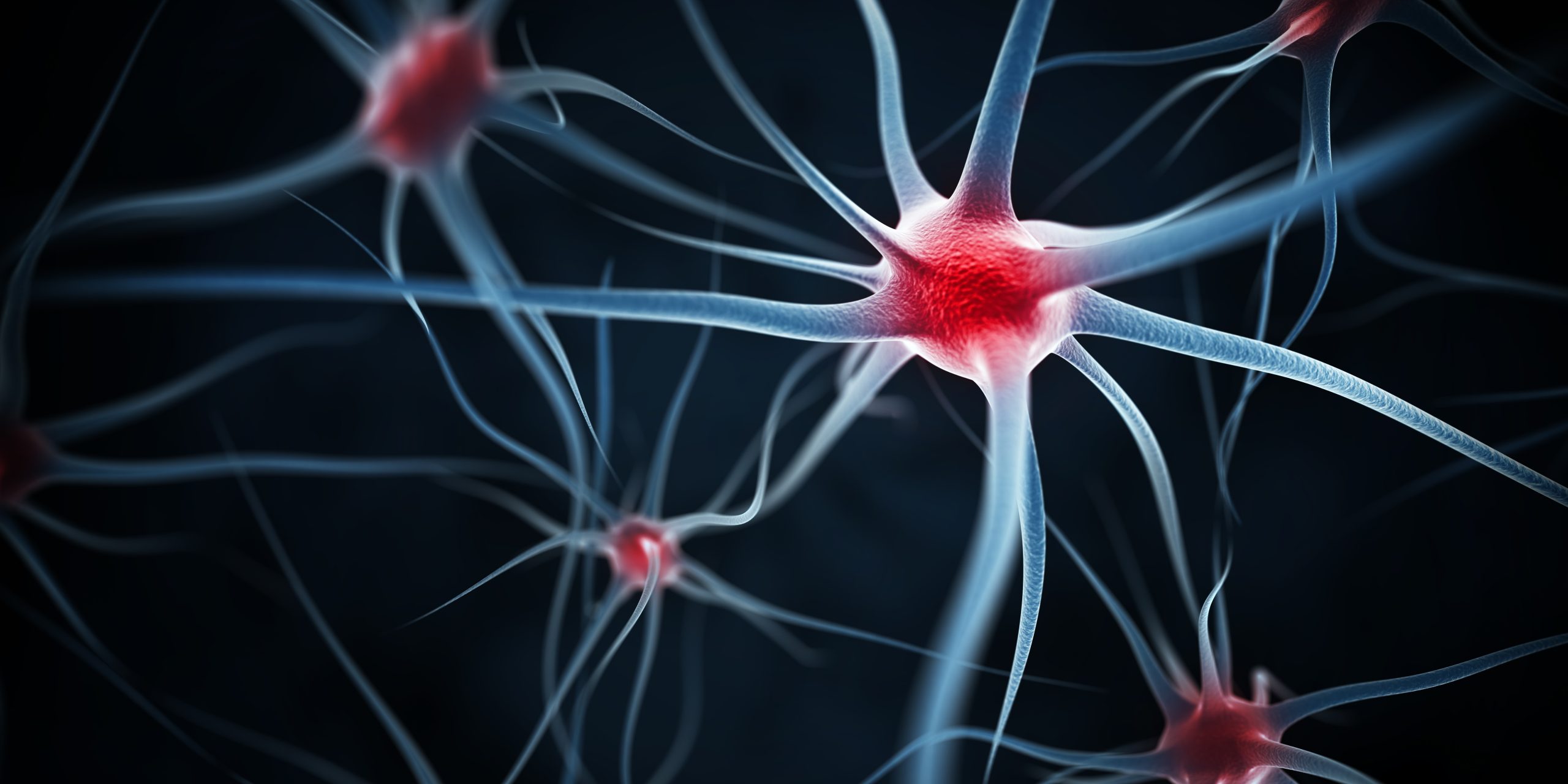 Rewiring Comfort: Proven Approaches to Neuropathy Relief and Nerve Wellness